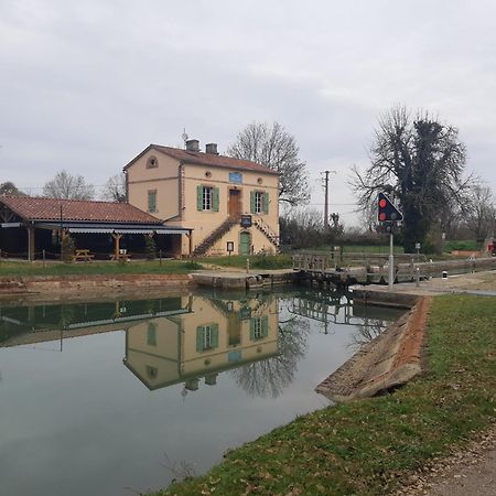 Maison De Famille Avec Parc Arbore Montauban Eksteriør billede