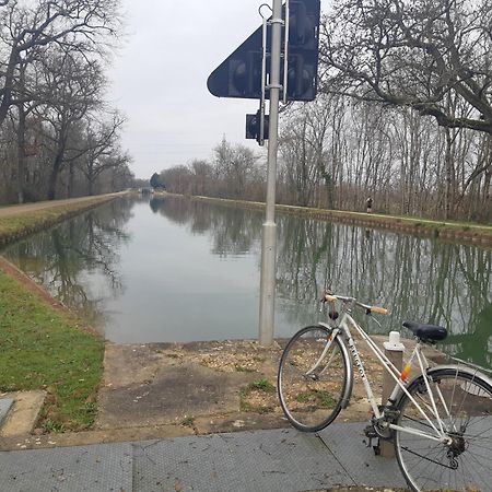 Maison De Famille Avec Parc Arbore Montauban Eksteriør billede