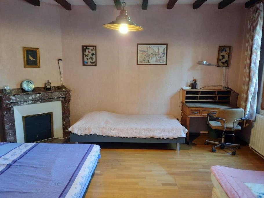 Maison De Famille Avec Parc Arbore Montauban Eksteriør billede