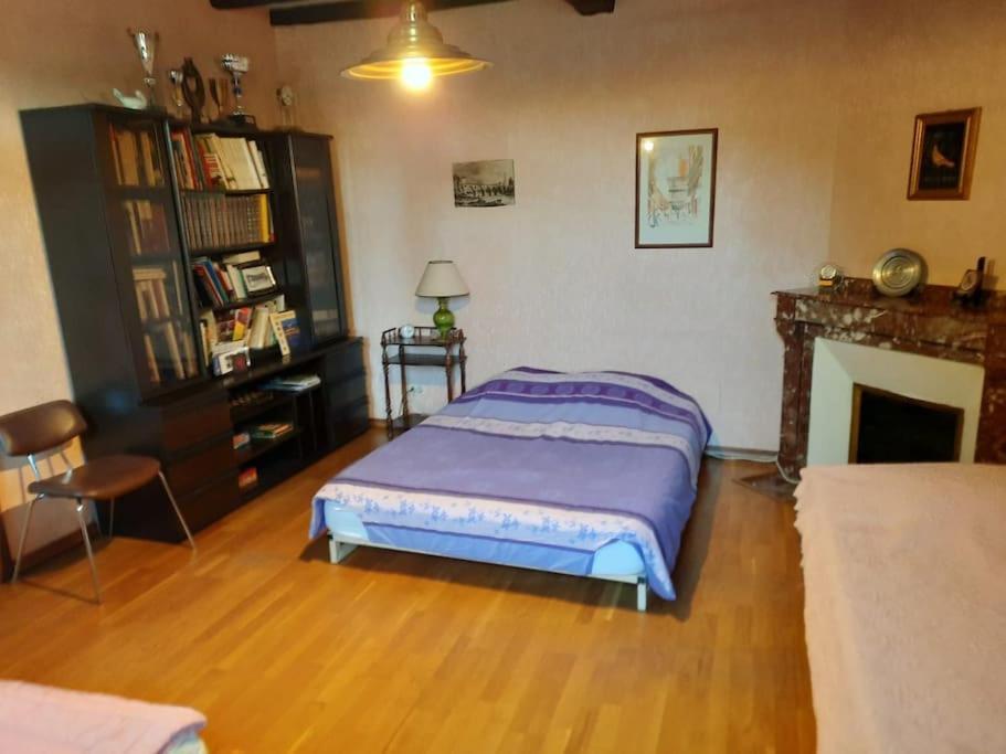 Maison De Famille Avec Parc Arbore Montauban Eksteriør billede